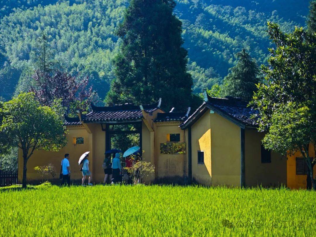井冈山旅游景点_井冈山旅游景点介绍
