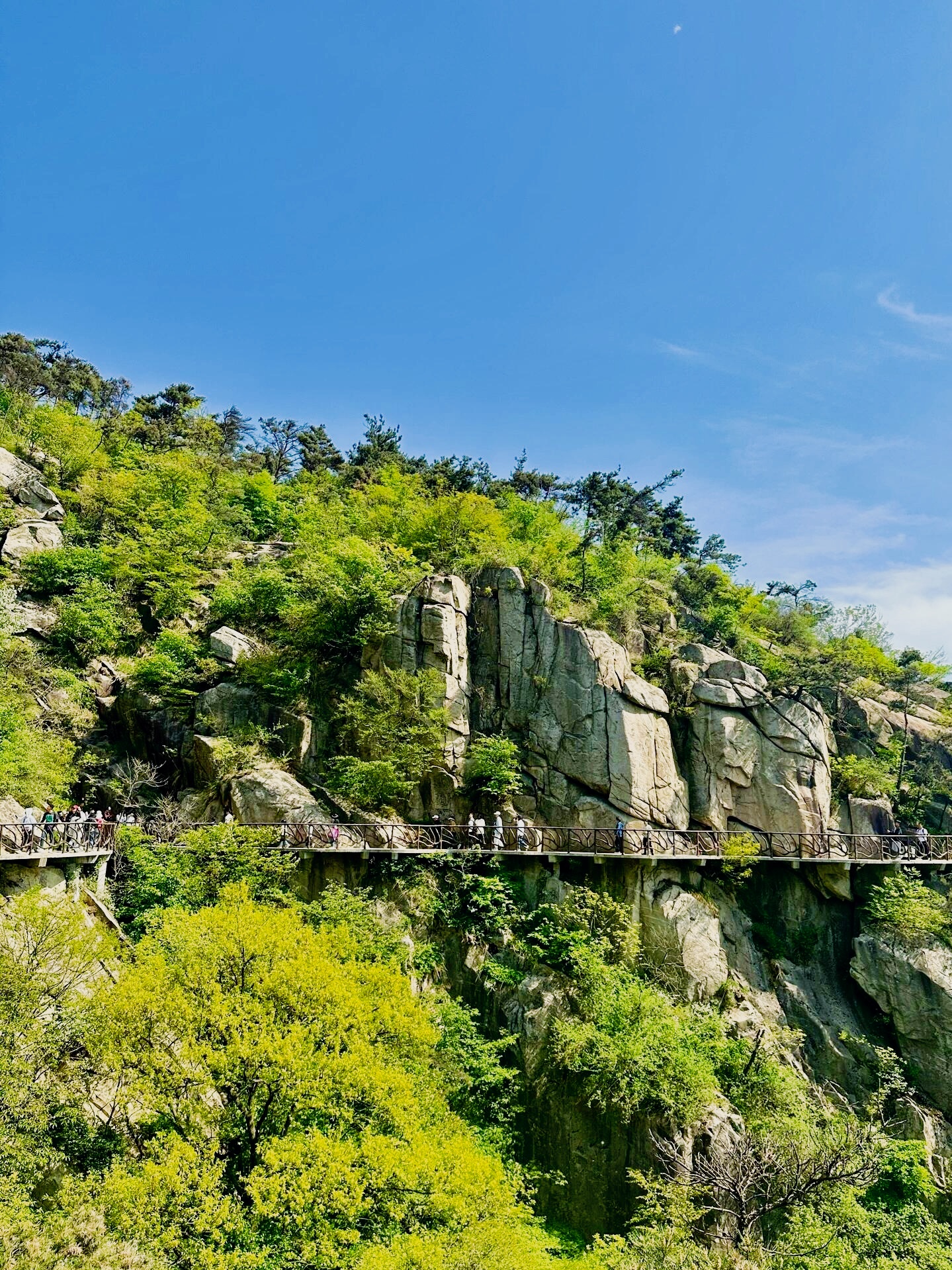 临沂旅游景点大全_临沂旅游景点大全排名