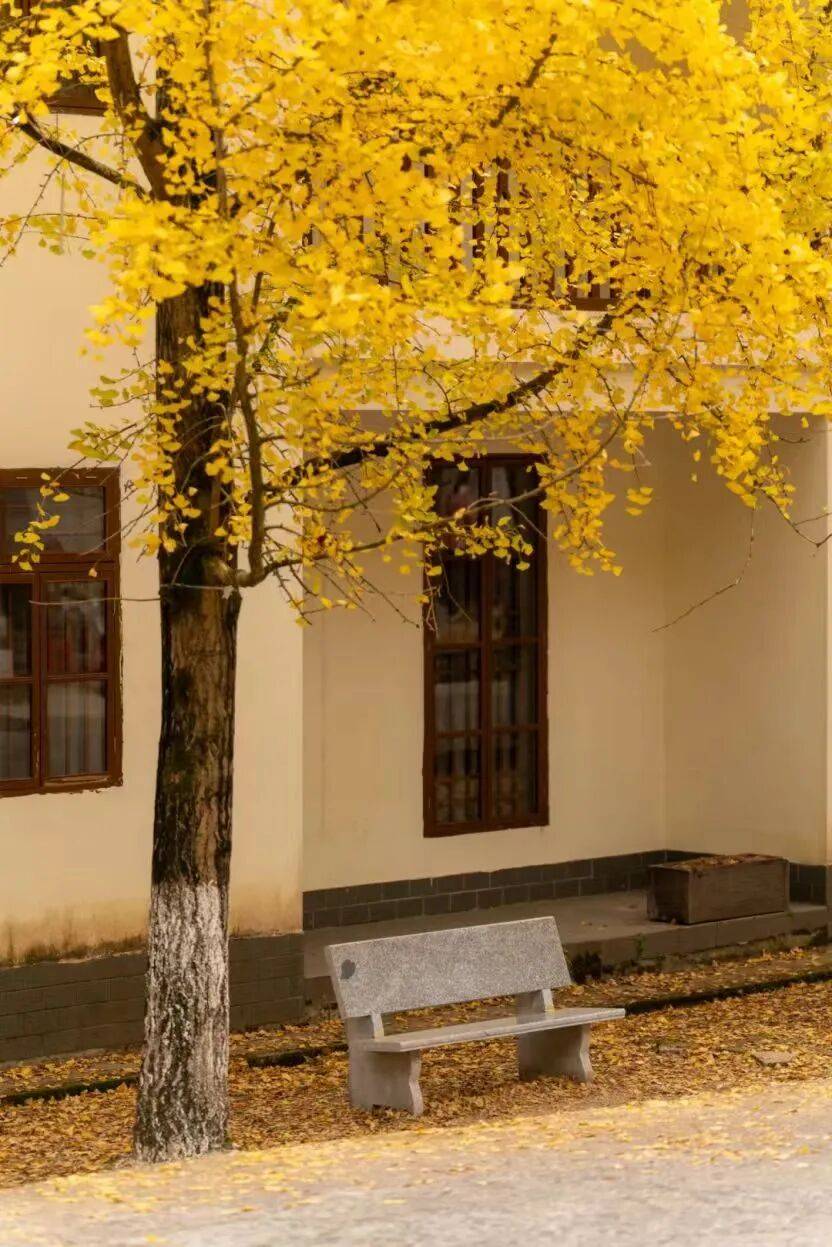 南雄旅游_南雄旅游景点大全介绍 南雄旅游_南雄旅游景点大全介绍