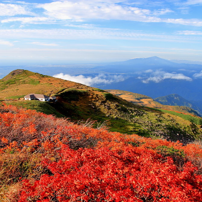 国家旅游局官方网站_国家旅游局官方网站2016年公告