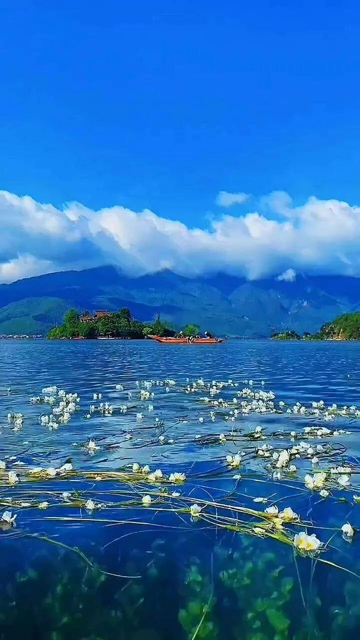 8月去哪里旅游最好_8月去什么地方旅游 8月去哪里旅游最好_8月去什么地方旅游