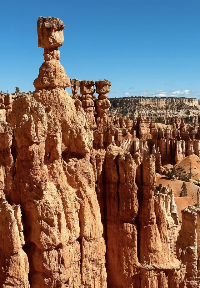 纽约旅游_纽约旅游攻略自由行