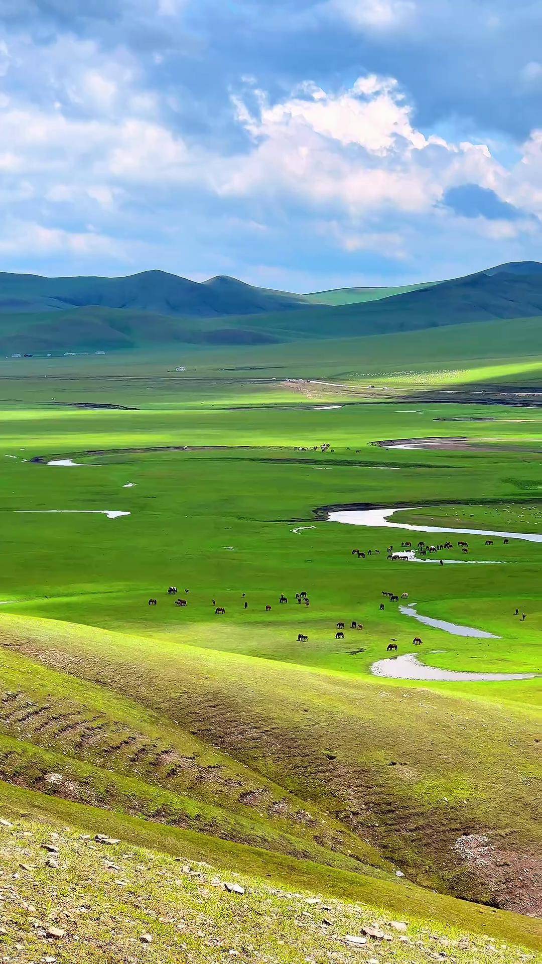 草原旅游_草原旅游攻略 草原旅游_草原旅游攻略