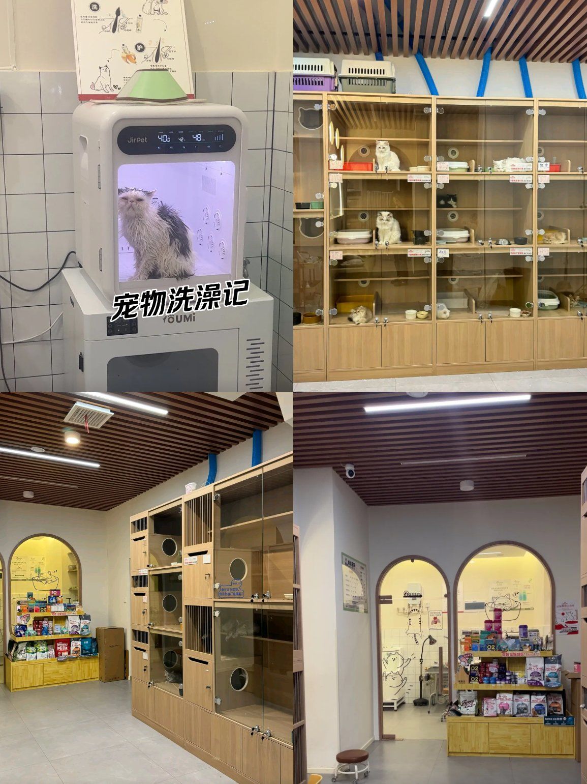 宠物美容台