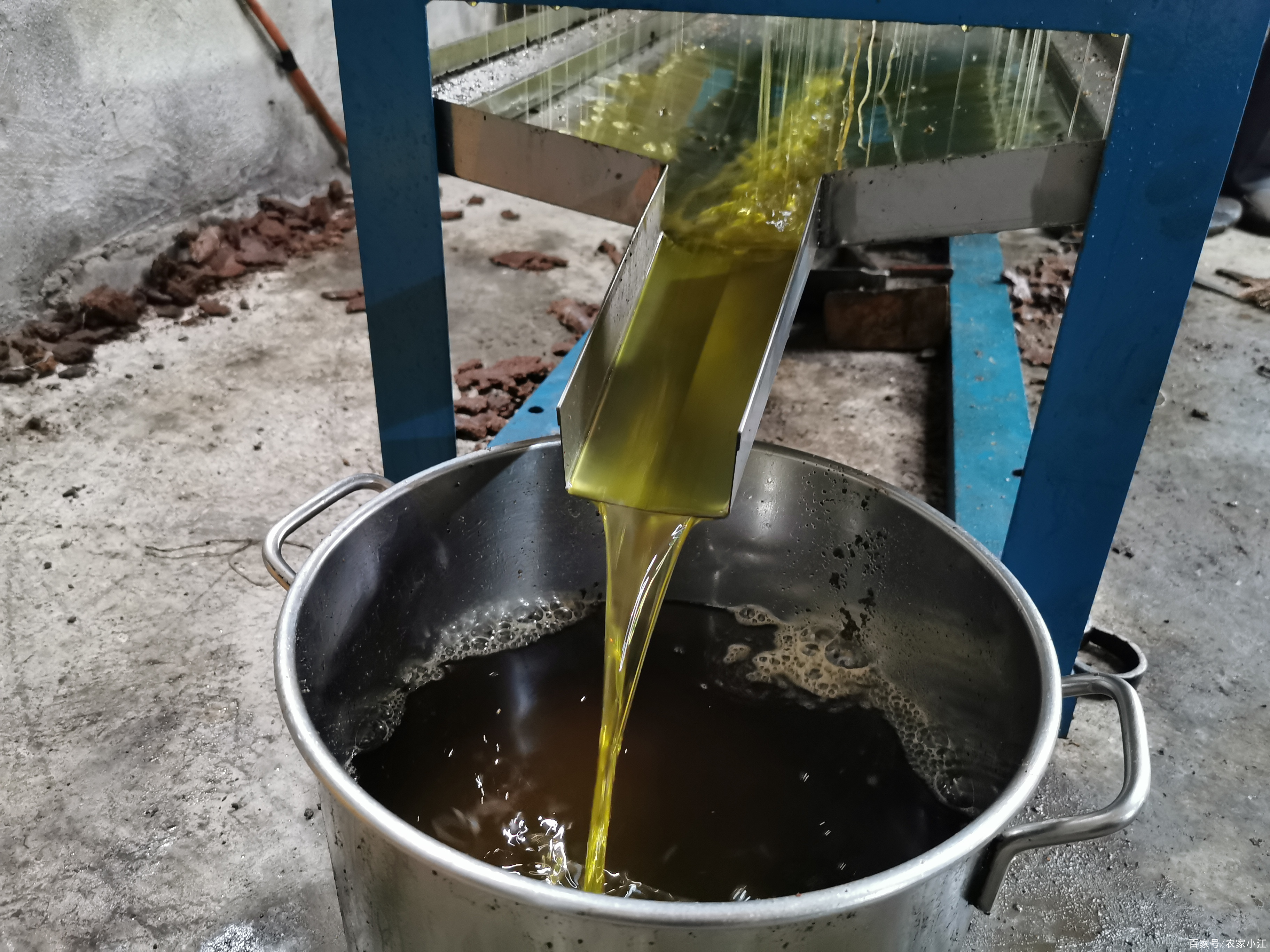 农村茶油加工