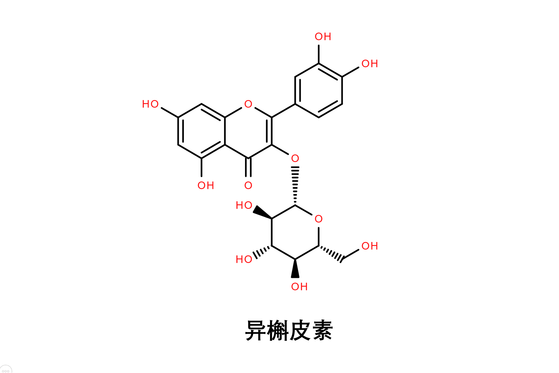 宠物槲皮素