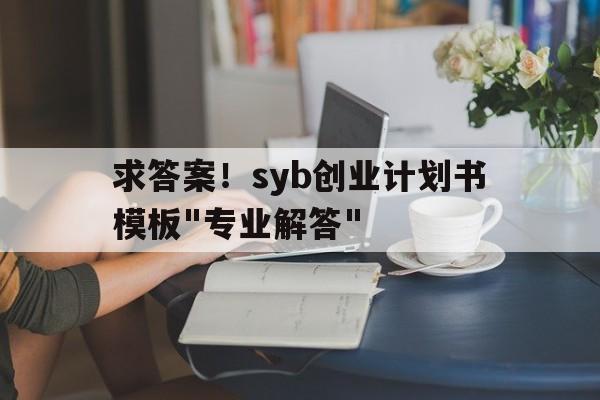 求答案！syb创业计划书模板
