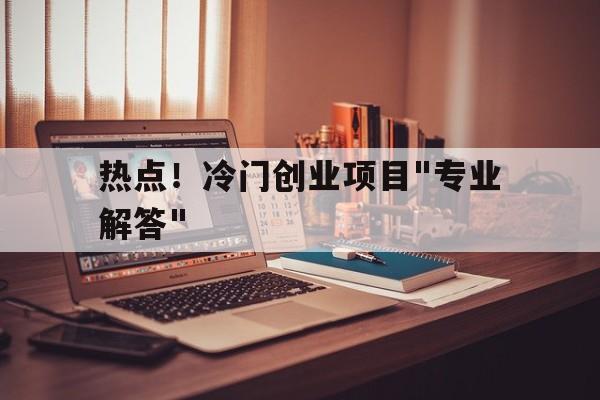 热点！冷门创业项目"专业解答"