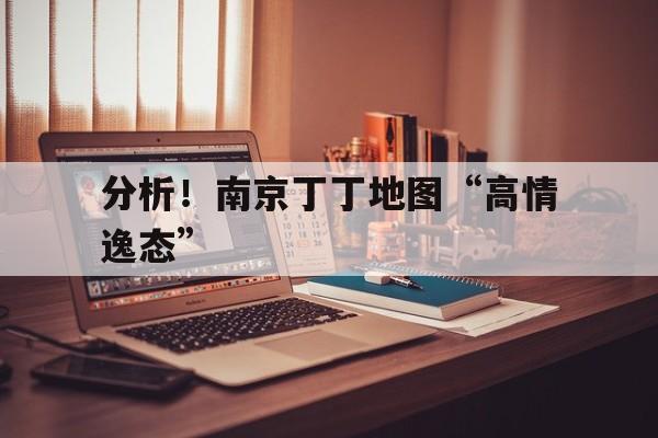 分析！南京丁丁地图“高情逸态”