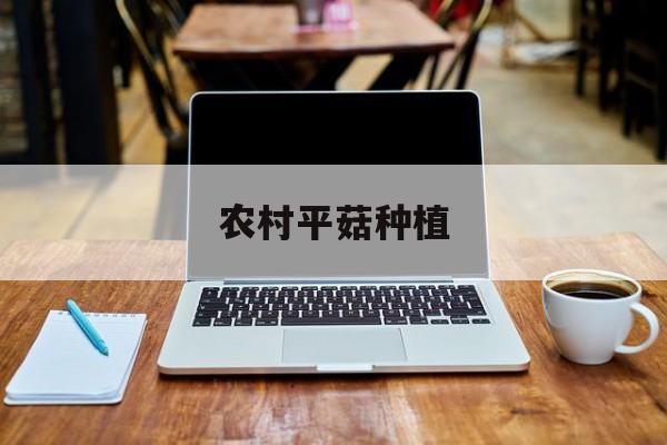 农村平菇种植